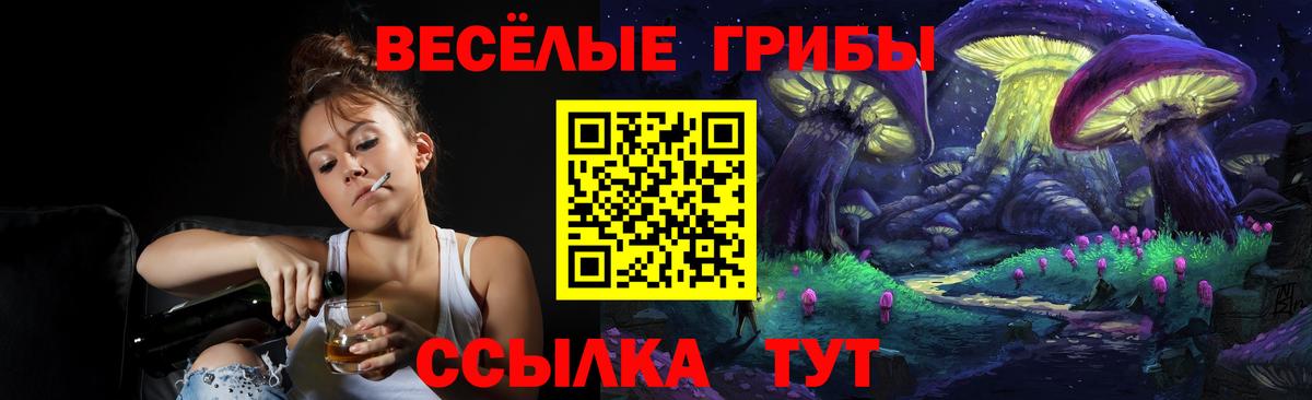 закладка  Галлюциногенные грибы мицелий  Вход с VPN  Псилоцибиновые грибы мухоморы  Сафоново 